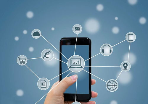 廢舊物資搭上互聯網快車，搖變“香餑餑”