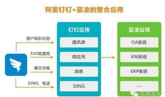 藍凌徐霞 互聯網產品，讓用戶覺得“爽”，應用方有“戲”